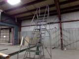 12 Step Warehouse Ladder