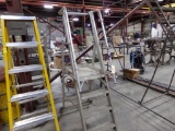 4-Step Alum Platform Ladder