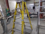 Rhino 6' Fiberglass Step Ladder