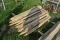 (25) Locust Fence Posts (25 x Bid Price)  (6126)