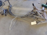 Large Group of Tree Transplanting Anchor Cables