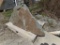 Large Triangular Landscape Stone
