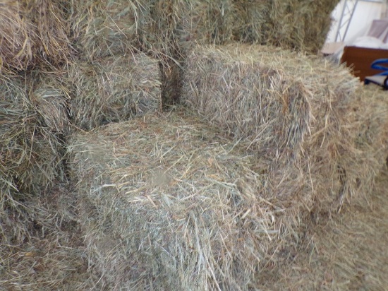 (85) Square Bales of Hay  1st Cutting (85 X Bid Price)