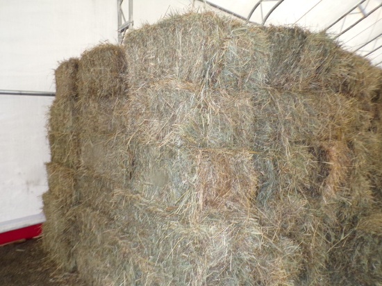 (80) Square Bales of Hay 1st Cutting (80 X Bid Price)