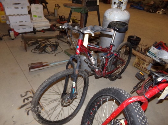 Mongoose Bicycle (#2872)
