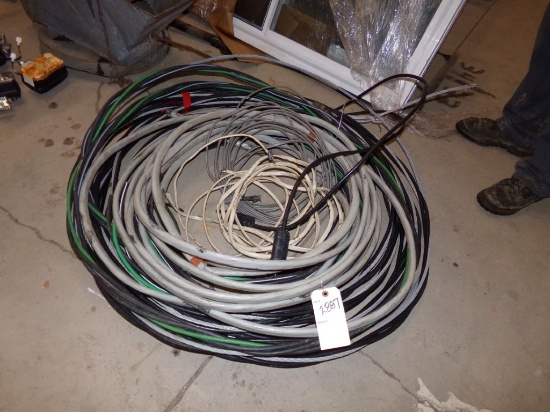 Group of Electric Cords (#2887)