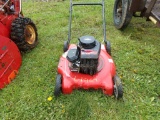 MTD Push Mower (3654)