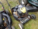 Brute Push Mower (#4095)