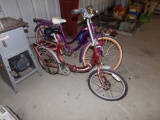 (2) Schwinn Bikes