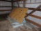 Insulation Board and Plywood Against Wall in Right Rear Corner