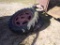 Set of Farmall  Rear Wheels with Old Tires Mounted (5266)
