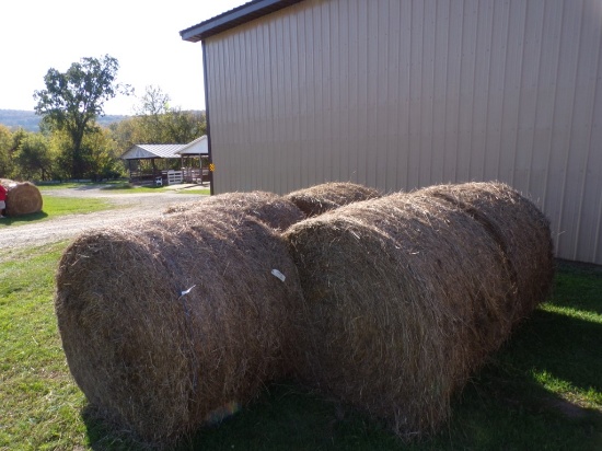 (5) Round Bales - Early First Cut (5912)