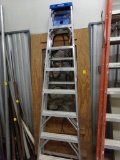 8' Werner Aluminum Extension Ladder
