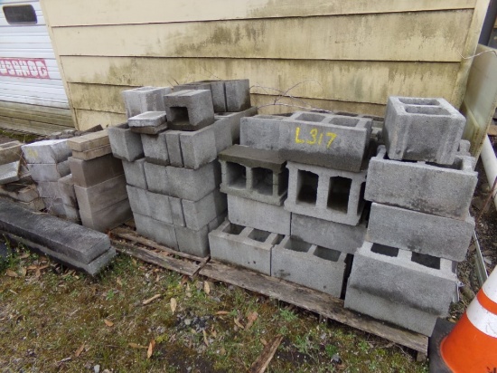 Group of Misc Cinder/Concrete Blocks (Outside)