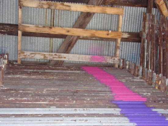 (32) 54'' Scaffold Sections (With PINK Stripe) (One Section Against Wall) (