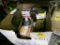Box with Large Quantity of Assorted Router Bits (Basement)
