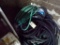 Large Group Of Sump Pump Hose And Regular Water Hose In Corner (Middle Barn