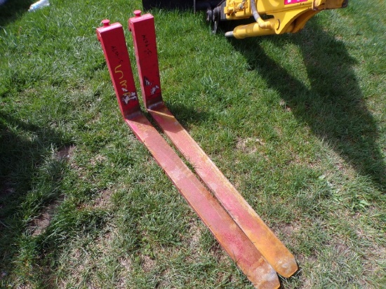 1 Set of Pallet Forks (4074)
