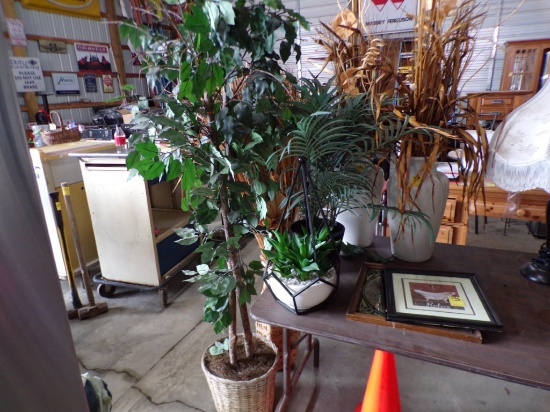 (6) Assorted Artificial Plants and Trees and (3) Pictures - (2) Tub and (1)