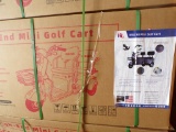 New IRGC40 3 Wheeled Electric Cart, 2 Row Seating, Full Lighting, Digital D
