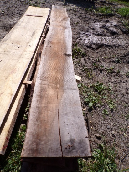 (4) Live Edge Wood Planks, 129'' x Assorted x 2''