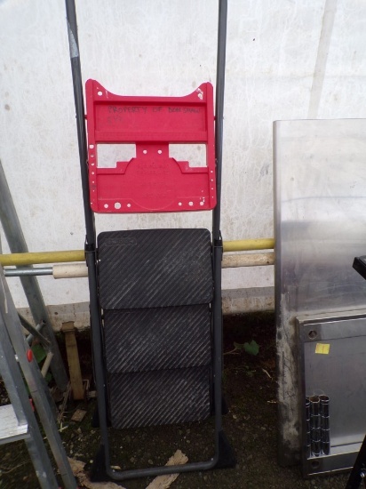 Cosco 3-Step Metal Ladder