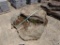 (2) Lg Fossiled Field Stone Stepper Stones, 10'' - 14'' x Lg Sizes - Sold b