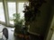 Group of Artificial Plants in Corner (Sun Room)