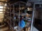 (2) Stainless/Chrome Wire Shelves, 5-Tier, 48'' x 18'' x 75'' - Shelf ''T''