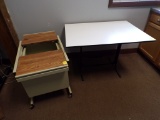 Rolling Metal 21'' x 27'' Cabinet with Slide Open Top and a 42'' x 30'' Woo