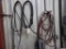 Group of Air Hoses on Wall
