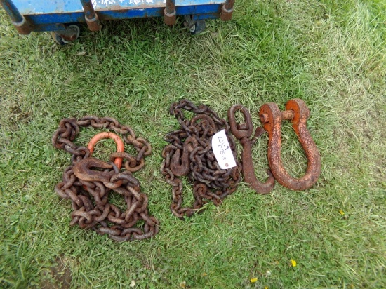 Group Of Heavy Duty Chain (5603)