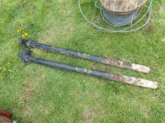 (2) Black Cast Iron Hitching Posts (5520)