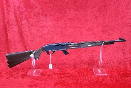 Remington Nylon 66