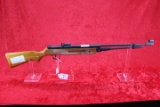 Chinese Pellet Gun