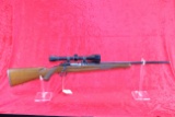 Ruger M77 243