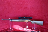 Ruger 10/22 Carbine, 22 LR