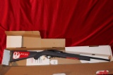 Ruger 10-22, 22 Cal. Auto