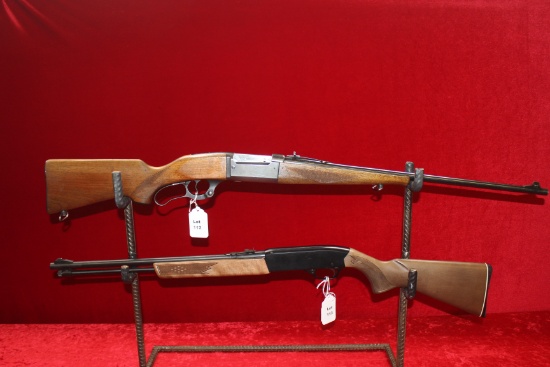 Winchester 22 Model 270