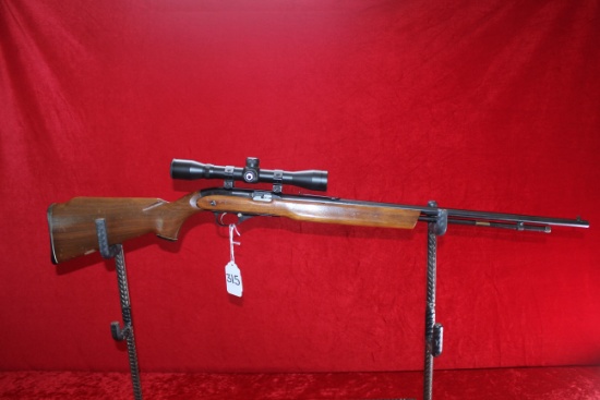 Sears (Ted Williams) 34 Semi-auto Rifle .22 LR