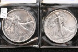 (2) 1989 $1.00 Silver Eagle, uncirculated (2 pieces total).