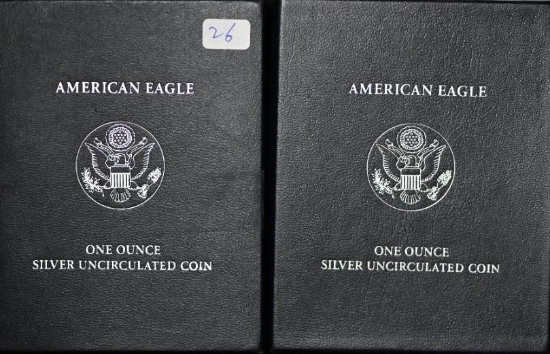 (2) 2007 Silver $1.00 Eagle - uncirculated in mint packaging (2 pcs).