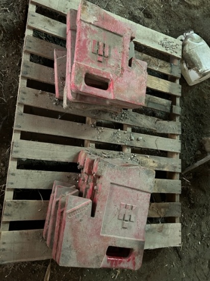 (10) IH 75# Suitcase Weights