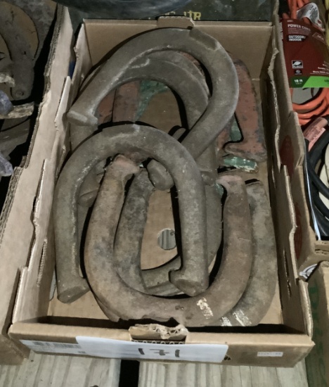 Throwing Horse Shoes