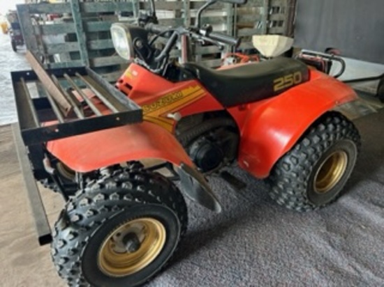 Suzuki Quad Runner 250