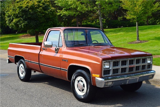 1982 GMC C20 PICKUP