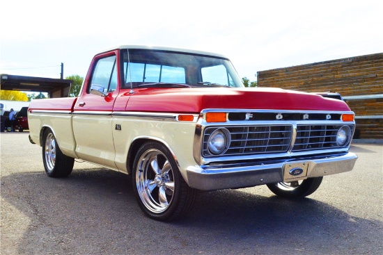 1976 FORD F-100 PICKUP