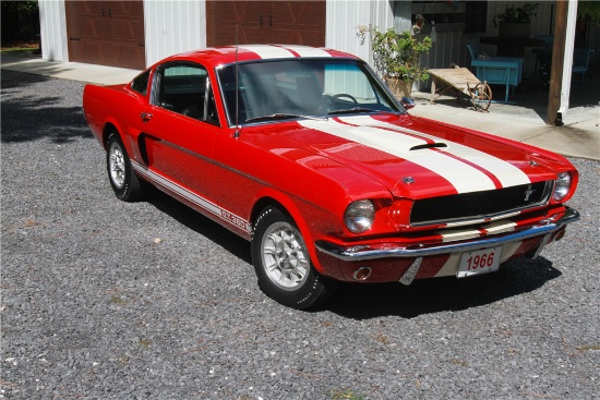 1966 SHELBY GT350