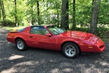 1991 PONTIAC FIREBIRD FORMULA 1LE