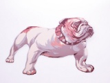 CIRCA 1940S MACK TRUCKS PORCELAIN BULLDOG SIGN